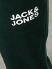 JACK&JONES Meeste aktiivse vabaaja püksid