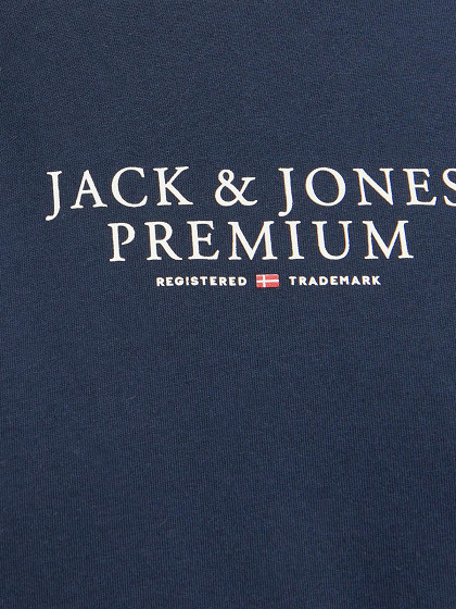 JACK&JONES Meeste T-särk, JPRBLUARCHIE