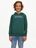 JACK&JONES JUNIOR Laste džemper, JORCODYY