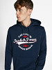 JACK&JONES Meeste džemper, WHLOGO SWEAT HOOD