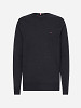 TOMMY HILFIGER Meeste kampsun