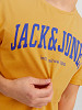 JACK&JONES Meeste T-särk, JJEJOSH