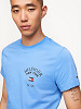 TOMMY HILFIGER Мужская футболка, VARSITY ARCHED LOGO SLIM FIT T-SHIRT