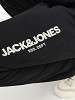JACK&JONES Meeste püksid, JPSTGORDON JJGALE SWEAT PANTS NAF