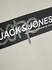 JACK&JONES Meeste džemper, JCOAOP LOGO SWEAT CREW NECK GC