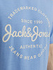 JACK&JONES Meeste T-särk, FOREST
