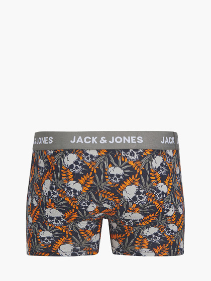 JACK&JONES Meeste aluspüksid, 2 paari, TRUNKS