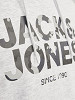 JACK&JONES Meeste kapuutsiga kampsun, JAMES