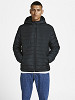 JACK&JONES Meeste demi-hooaja jakk, HWING