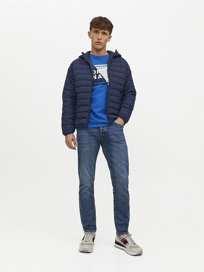 JACK&JONES Meeste demi-hooaja jakk, HWING